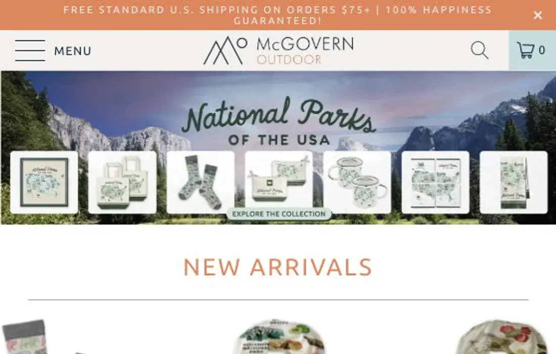 McGovern & Company project screenshot